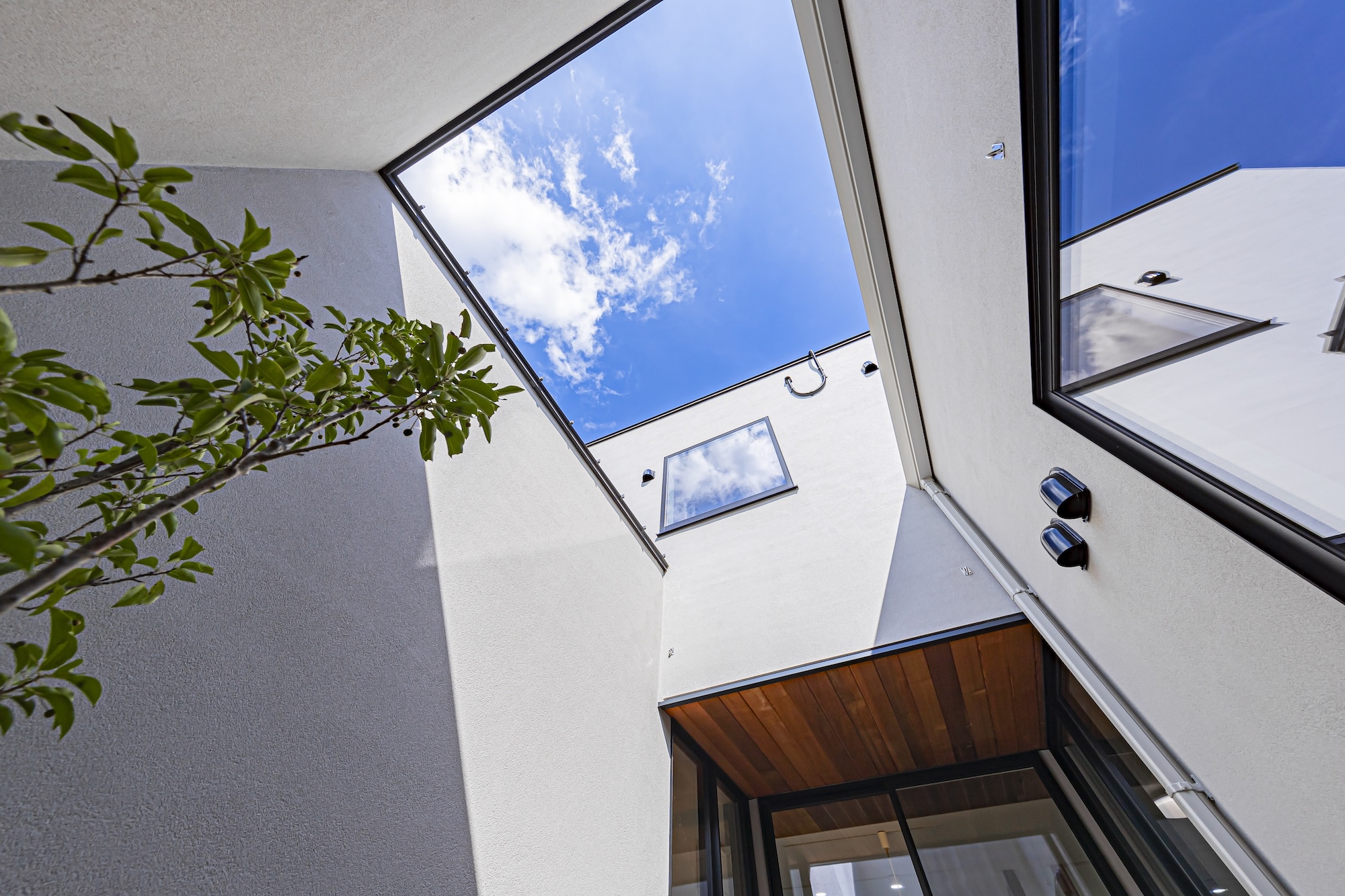 中庭から空を見上げた様子