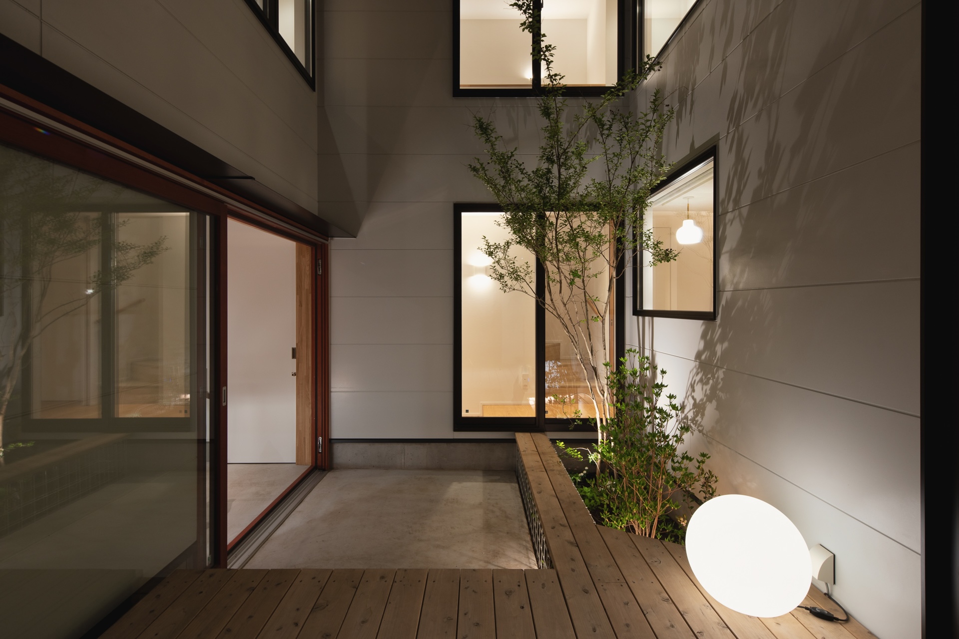 照明により植栽のシルエットが浮かび上がる中庭